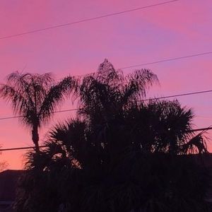 Meet your Posher, Tonilynn